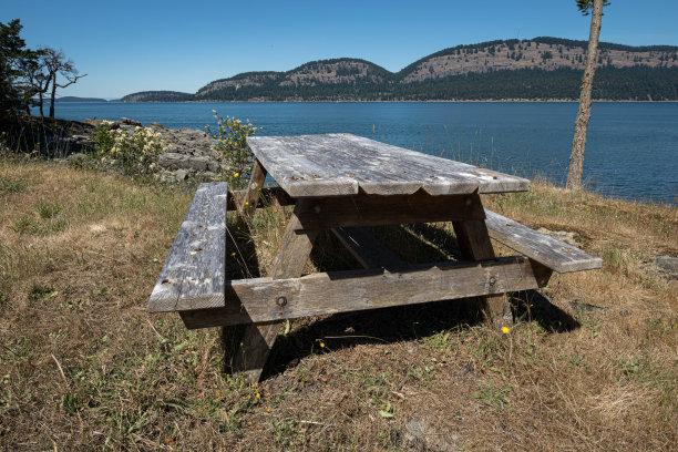 肮脏风化的野餐桌图片下载