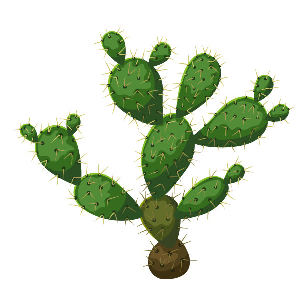 墨西哥仙人掌，装饰性的，有刺的图片下载