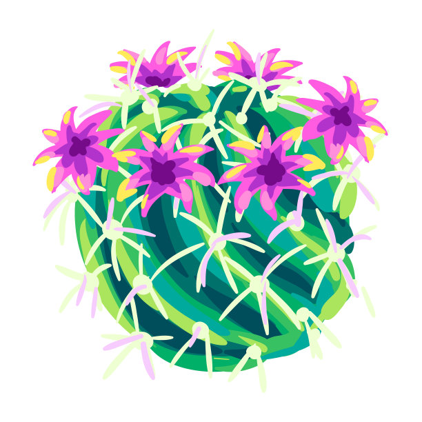 墨西哥仙人掌，装饰性的，有刺的图片下载