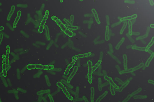 肺炎链球菌细胞。3D渲染微观背景。图片下载