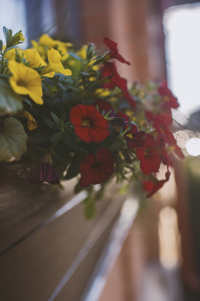 城市里的夏天。夏日咖啡馆、露台、游廊、阳台的花卉装饰图片下载