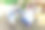 年轻的女兽医用平板电脑检查牧场背景的山羊。兽医在自然生态农场检查山羊。动物护理和生态畜牧业的概念图片下载