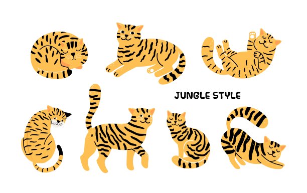 黄色黑猫收藏图片下载