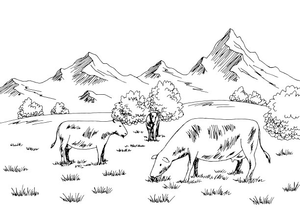 奶牛在山上吃草图形黑白素描插图矢量图片下载