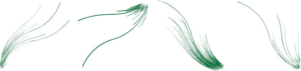 有机杂草草像弯曲的波浪线图片下载