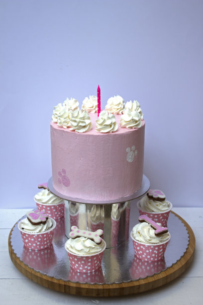 狗蛋糕和纸杯蛋糕图片下载