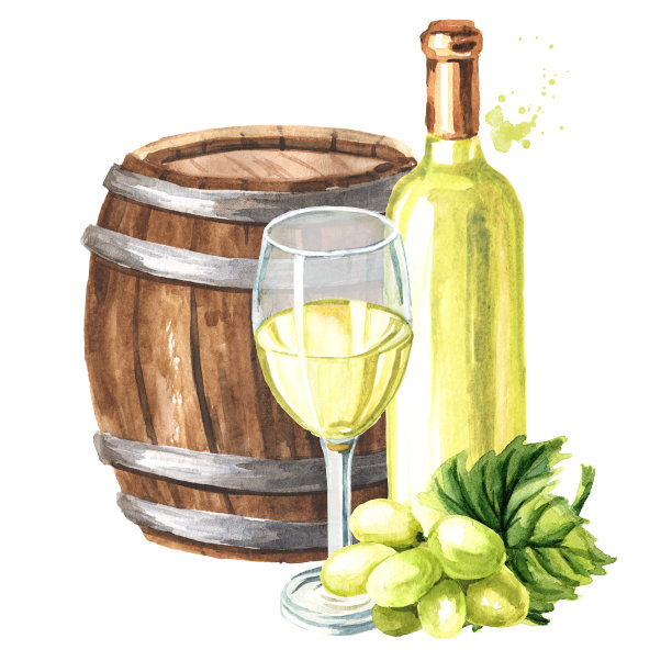 一瓶和一杯白葡萄酒，葡萄叶和葡萄浆果和木桶。手绘水彩插图孤立的白色背景图片下载