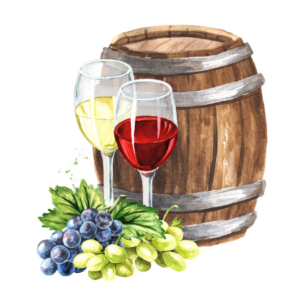 红和白葡萄酒杯，葡萄叶和葡萄浆果和木桶。手绘水彩插图孤立的白色背景图片下载