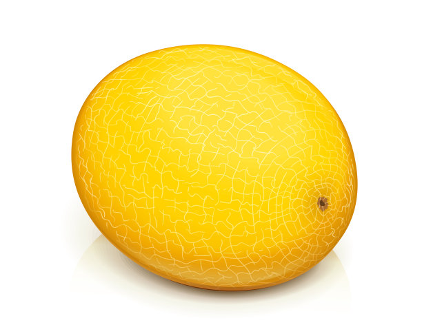 瓜。成熟美味多汁的水果图片下载