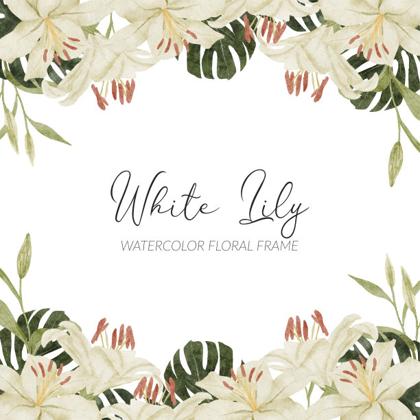 水彩白色百合热带花安排与怪物图片下载