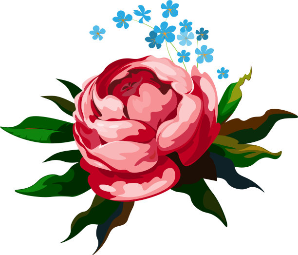 一个粉红色花朵的图案图片下载