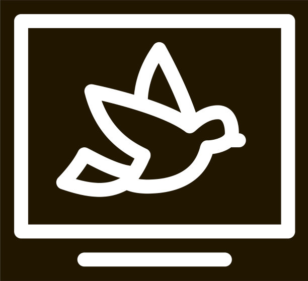 鸟图片或照片卡图标图片下载