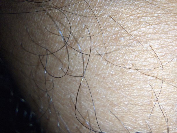 皮革皮毛图片下载