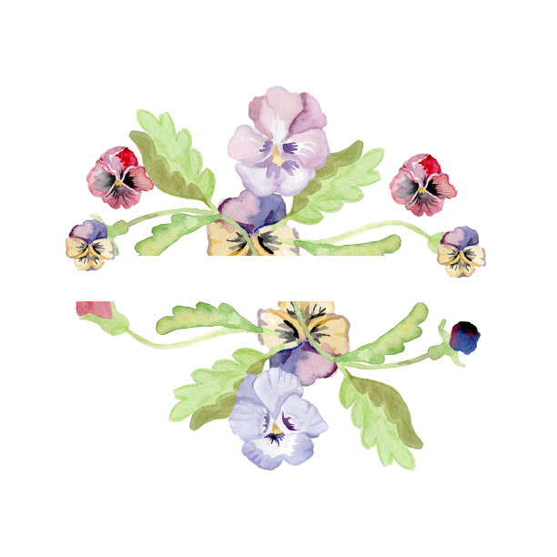 手工水彩框架的彩色三色紫罗兰在白色的背景。彩色背景的织物，壁纸，礼品包装纸，剪贴簿。图片下载