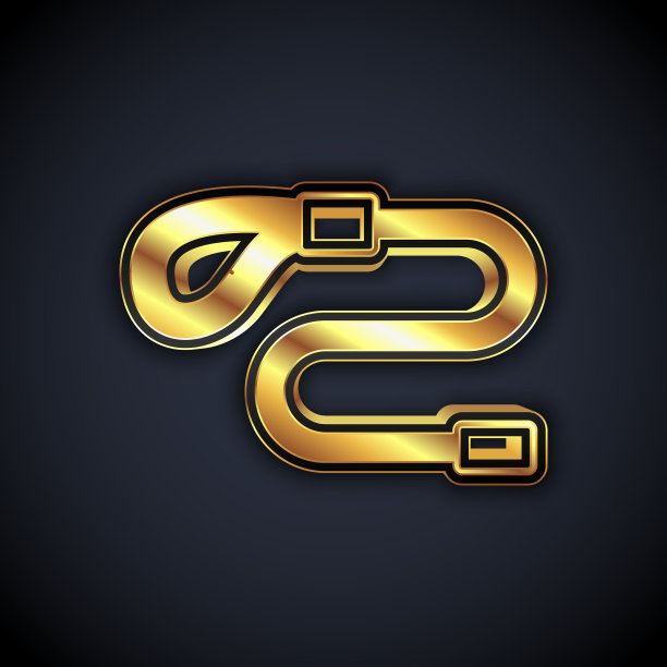 黄金伸缩绳皮带与钩环图标图片下载