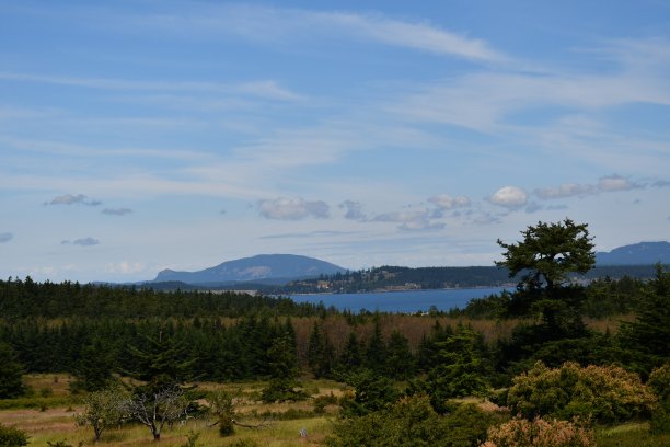 海龟回来# 1图片下载