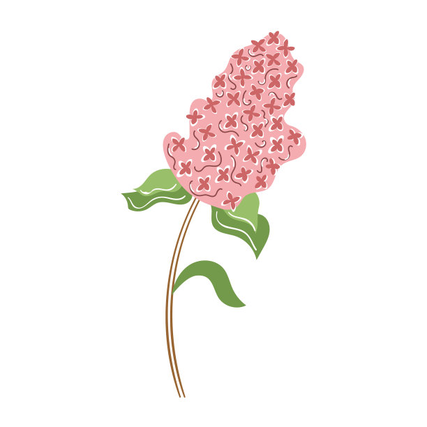 淡紫色的花图片下载