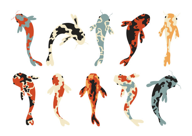 集锦鲤鲤日本锦鲤图片下载