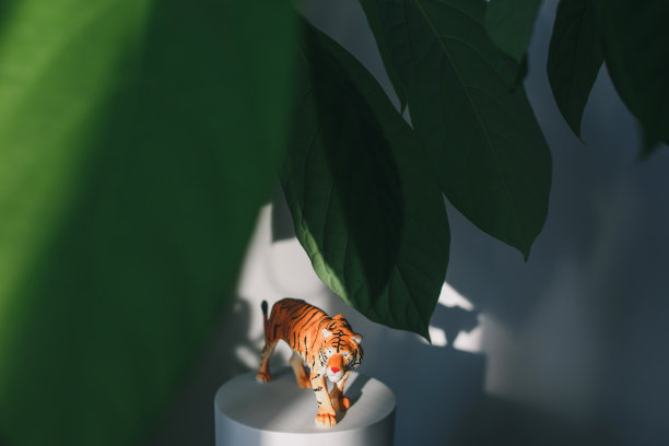 一个老虎雕像在树叶中，象征着2022年的中国新年。图片下载