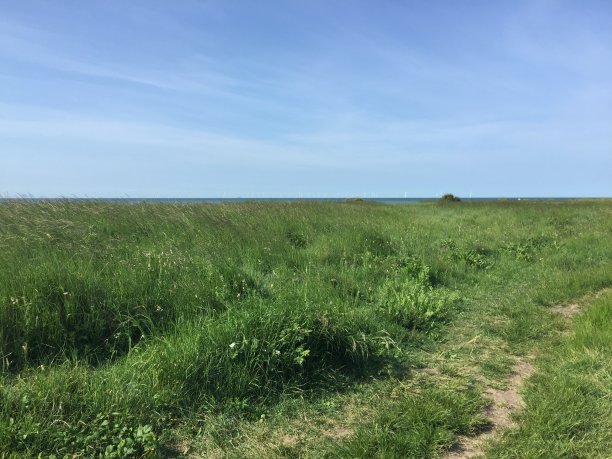 Swalecliffe滩涂图片下载