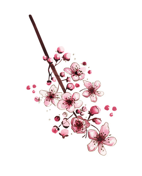 手绘水彩和墨粉色樱花图片下载