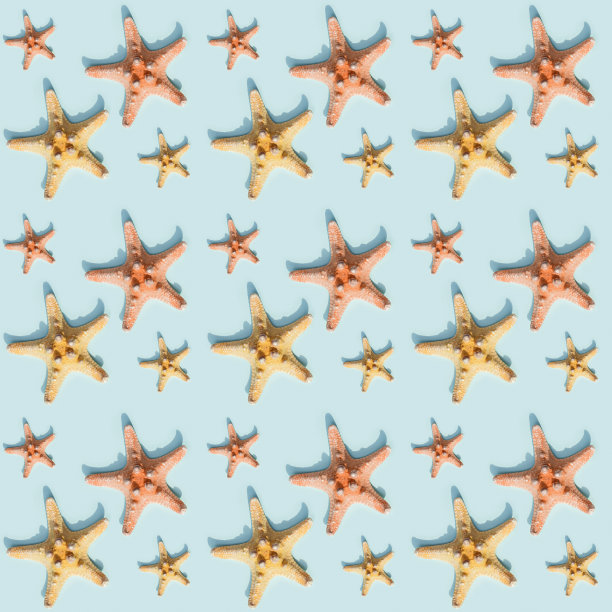 五颜六色可爱的海星图案，以航海或海洋为主题的海洋生物。阳光明媚的夏日风格。图片下载