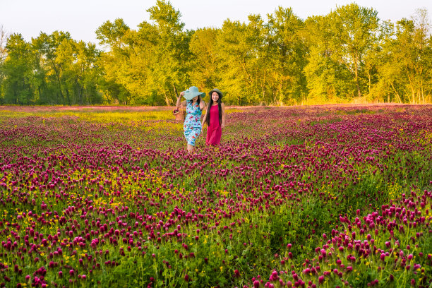 两个中国妇女走在五颜六色的野花中图片下载