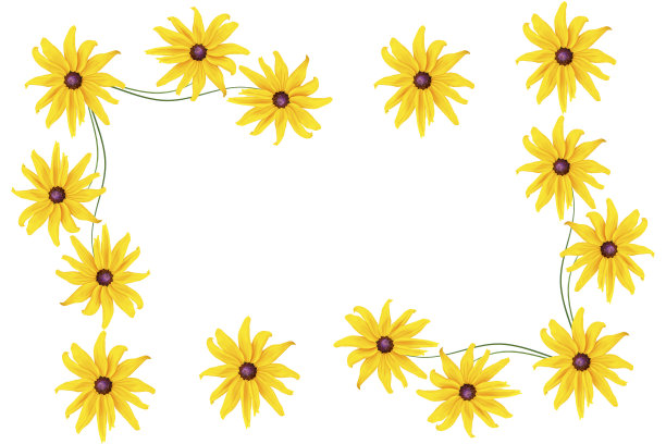 色彩鲜艳的黄雏菊属花图片下载