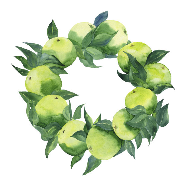 绿色的苹果和叶子孤立在白色的背景。绿色水果花环的水彩手绘插图。完美的卡片，包装，封面，海报，横幅。副本的空间。图片下载