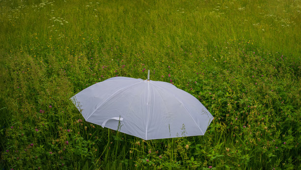 白色的伞在绿色的草地上。图片下载