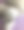 狗髋与绷带术后方案图片下载