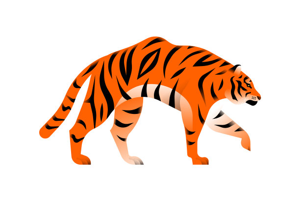 孟加拉虎分离动物图片下载