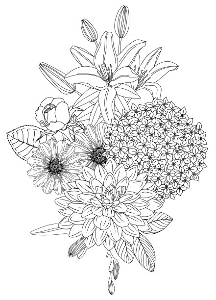 安排与夏季花卉花卉轮廓图片下载