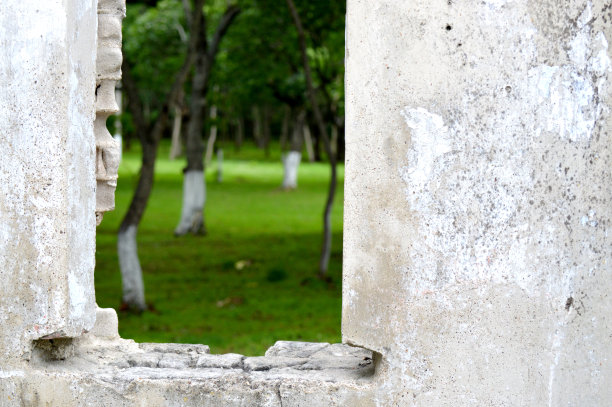 夏天的公园有绿色的草地和树木。从破旧的窗户看出去。照片在坐标系。古老的历史建筑。积极的夏天背景图片下载