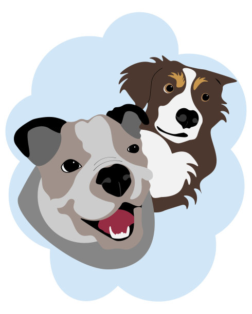 我的狗库珀和他的牛头犬朋友图片下载