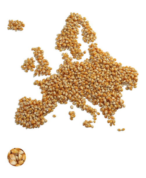 由玉米制成的地图图像图片下载