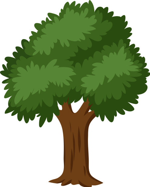 孤立的树在白色的背景图片下载