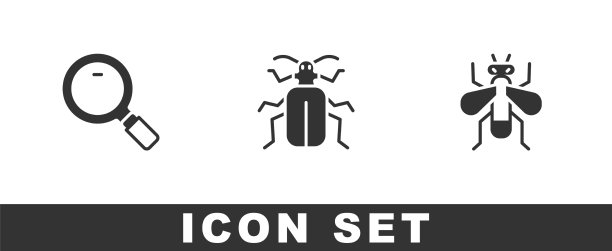 设放大镜金龟子和飞虫图片下载