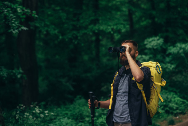 用双筒望远镜在森林中行走并使用登山杖的徒步旅行者图片下载