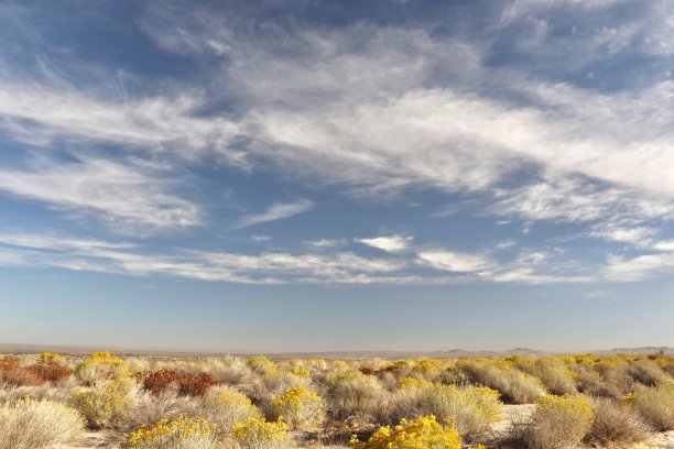 加利福尼亚沙漠景观，多云天空图片下载