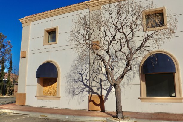 用干树封起来的建筑图片下载