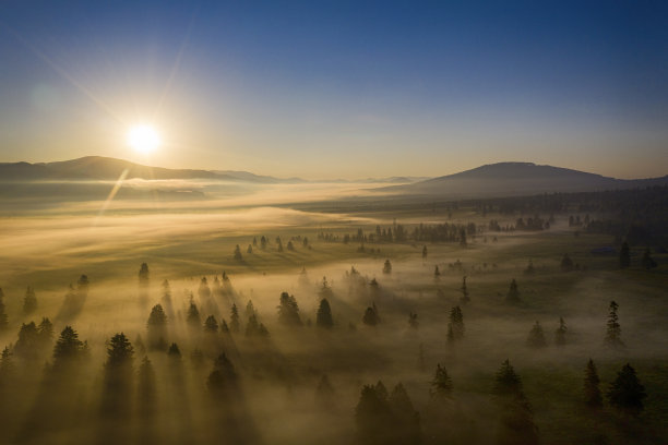 鸟瞰图的山谷在早晨的雾，喀尔巴阡山脉图片下载