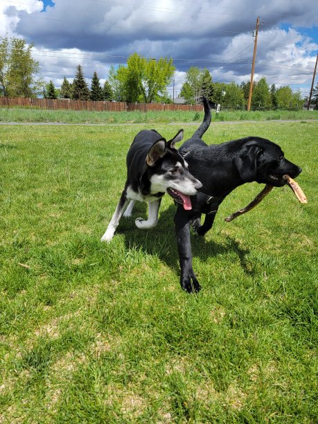 玩耍的时间图片下载