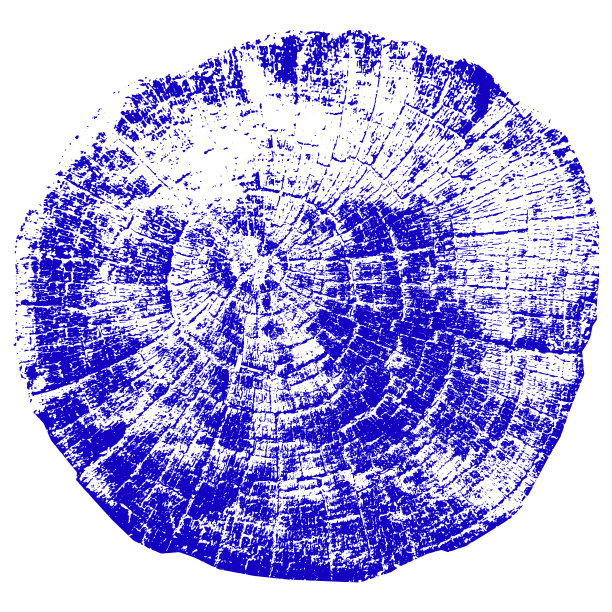 树的年轮。天然木材。矢量插图。图片下载