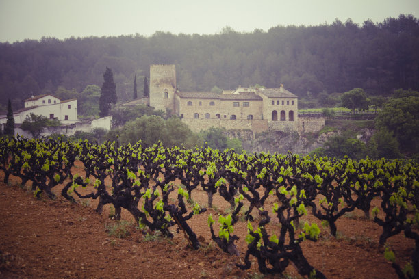 Garraf,省巴塞罗那图片下载