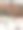 在多石的海滩上的岩石中的树枝图片下载