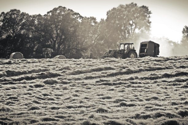 德州中部的拖拉机巴灵海图片下载