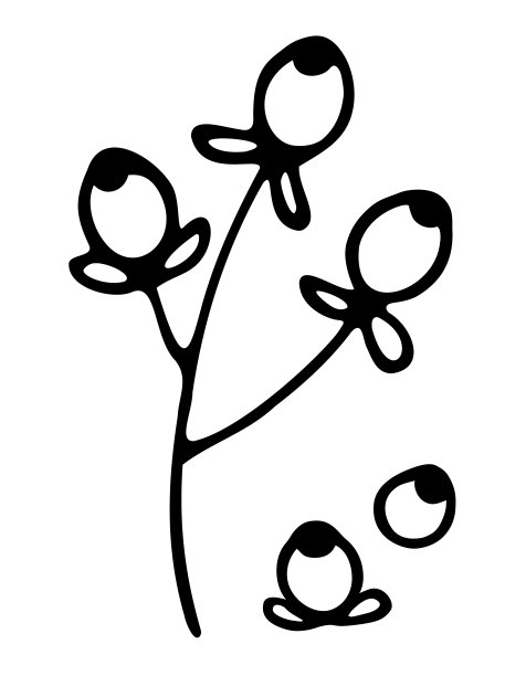 程式化的野生浆果。手绘矢量图，涂鸦风格。黑色轮廓孤立在白色背景上。图片下载