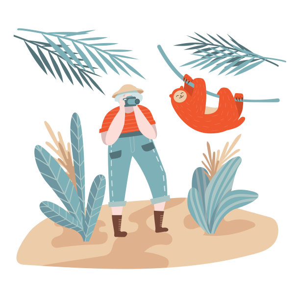 一位灰白头发的成年妇女在热带森林旅行并拍摄树懒的照片图片下载