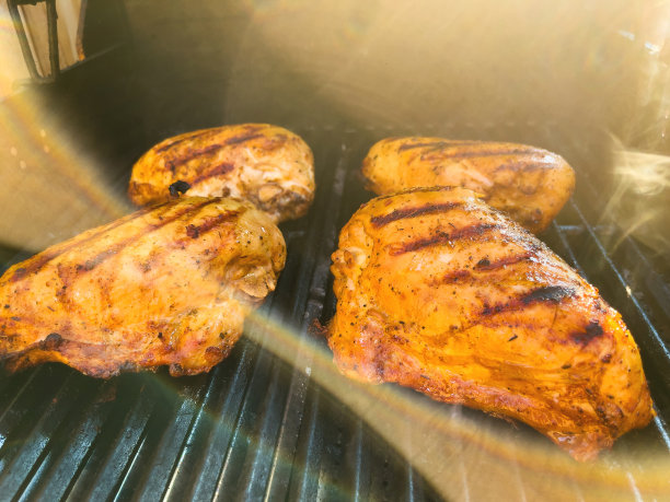 调味烤鸡胸肉户外烧烤食物西科罗拉多烹饪系列照片图片下载
